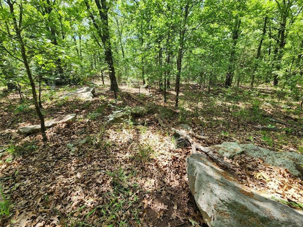 67.74 acres in Hopkins County - photo 24