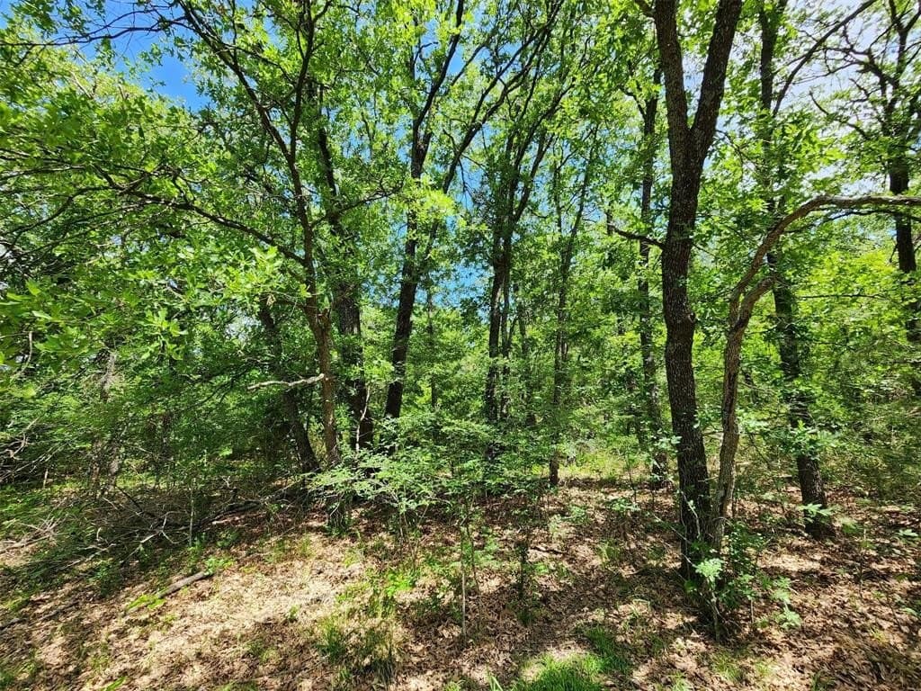67.74 acres in Hopkins County - photo 12