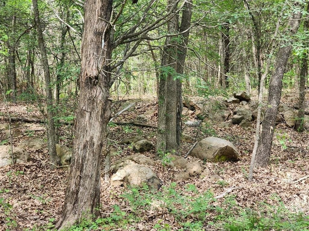 67.74 acres in Hopkins County - photo 29
