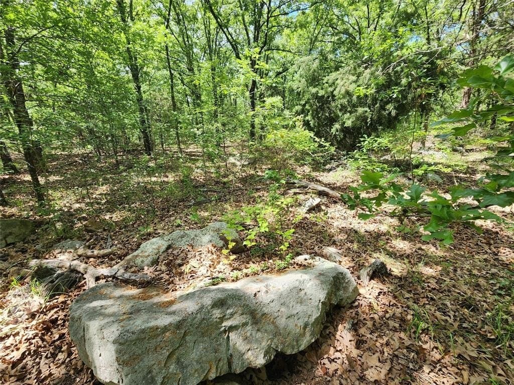 67.74 acres in Hopkins County - photo 25