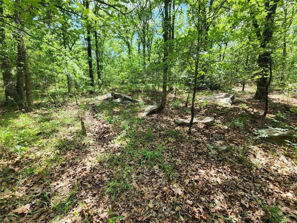67.74 acres in Hopkins County - photo 23
