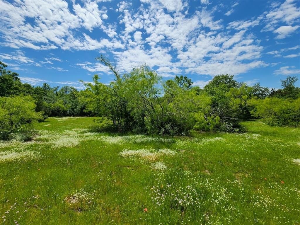 67.74 acres in Hopkins County - photo 6