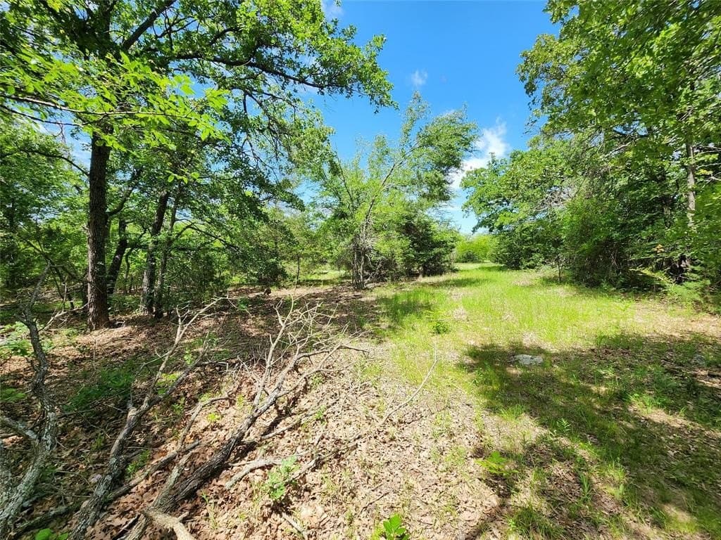 67.74 acres in Hopkins County - photo 13