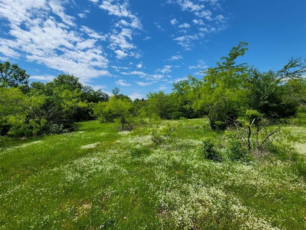 67.74 acres in Hopkins County - photo 5