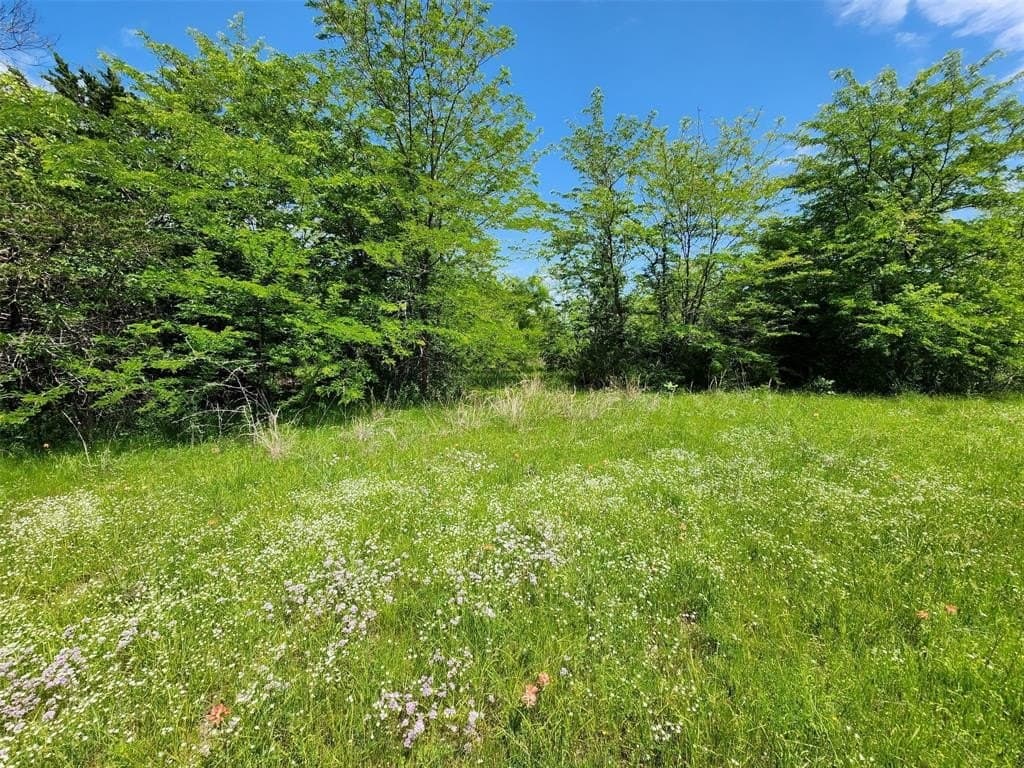 67.74 acres in Hopkins County - photo 7