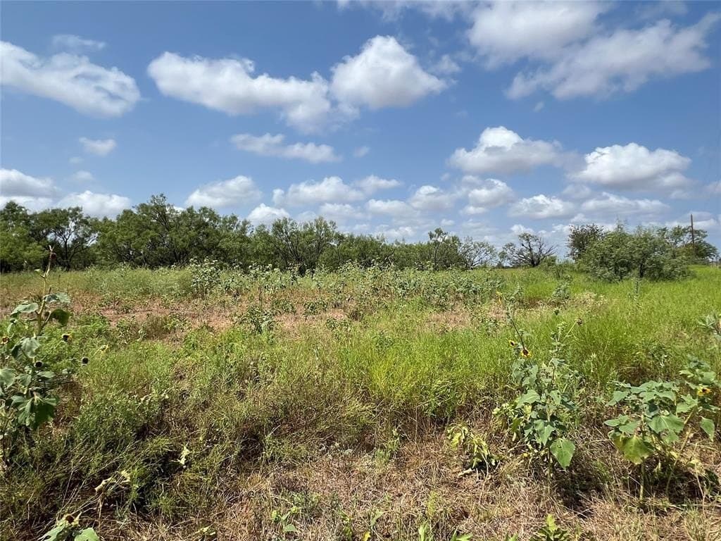 8.75 acres in Taylor County - photo 2