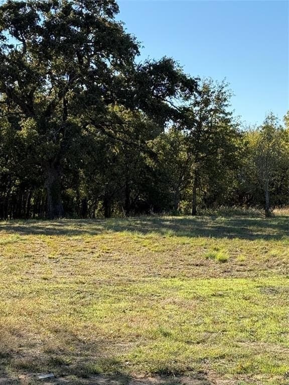 1.35 acres in Parker County - photo 2