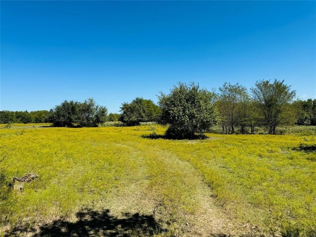 110.5 acres in Fannin County - photo 8