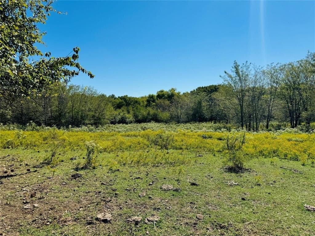 110.5 acres in Fannin County - photo 5