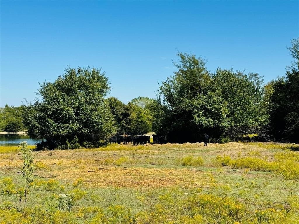 110.5 acres in Fannin County - photo 7