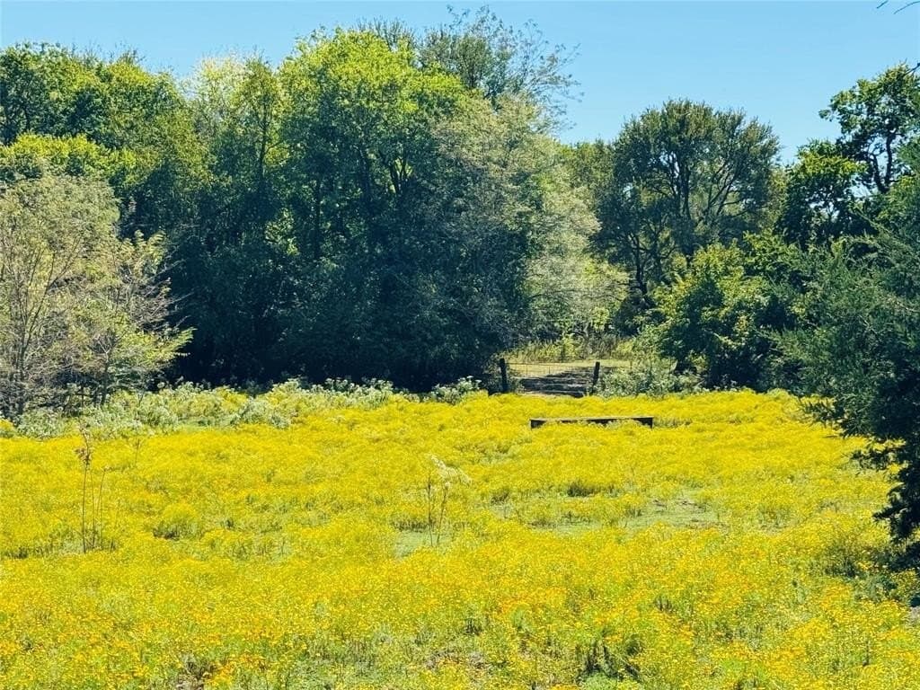 110.5 acres in Fannin County - photo 4