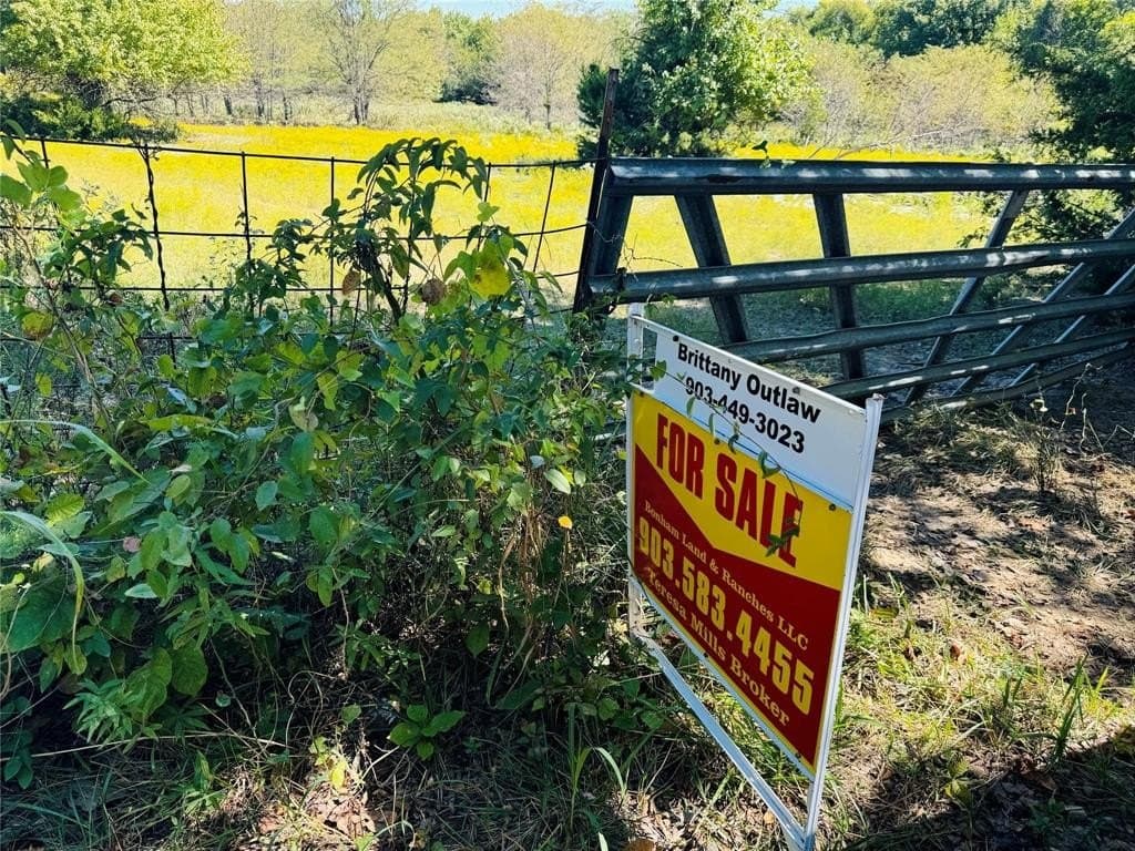 110.5 acres in Fannin County - photo 12