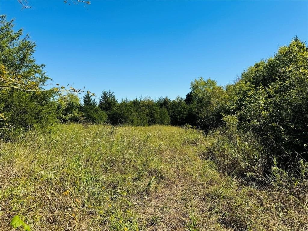 110.5 acres in Fannin County - photo 11