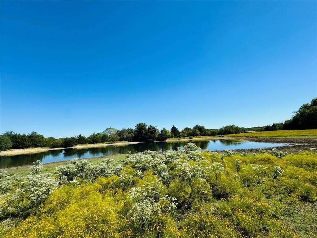 110.5 acres in Fannin County - photo 3