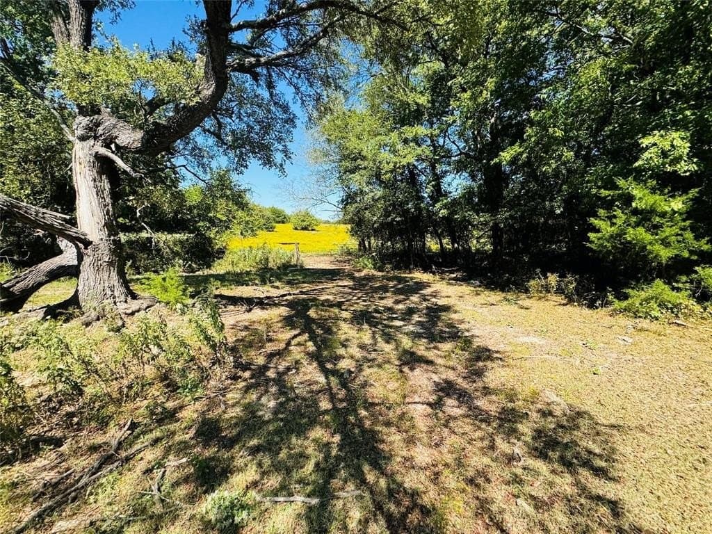 110.5 acres in Fannin County - photo 2