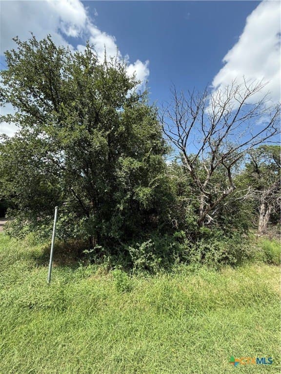 0.25 acres in Bell County - photo 3