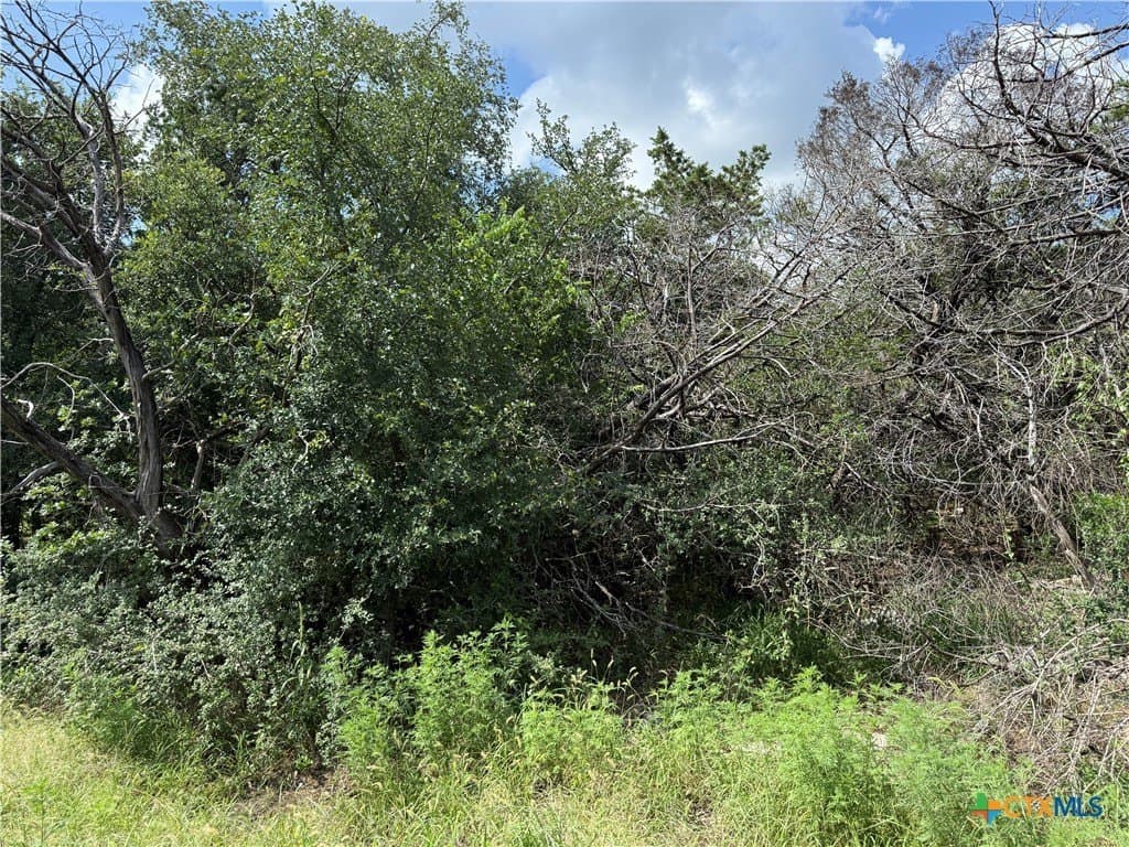 0.25 acres in Bell County - photo 2