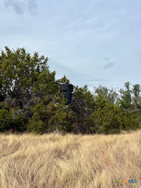 57.96 acres in Lampasas County - photo 5