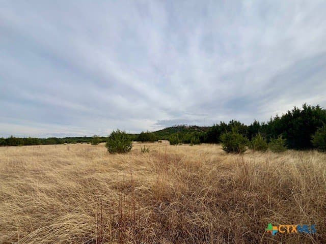 57.96 acres in Lampasas County - photo 4