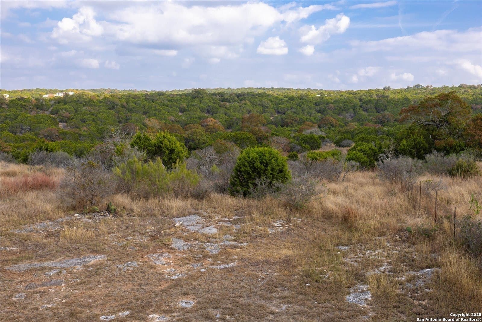 54 acres in Kendall County - photo 42