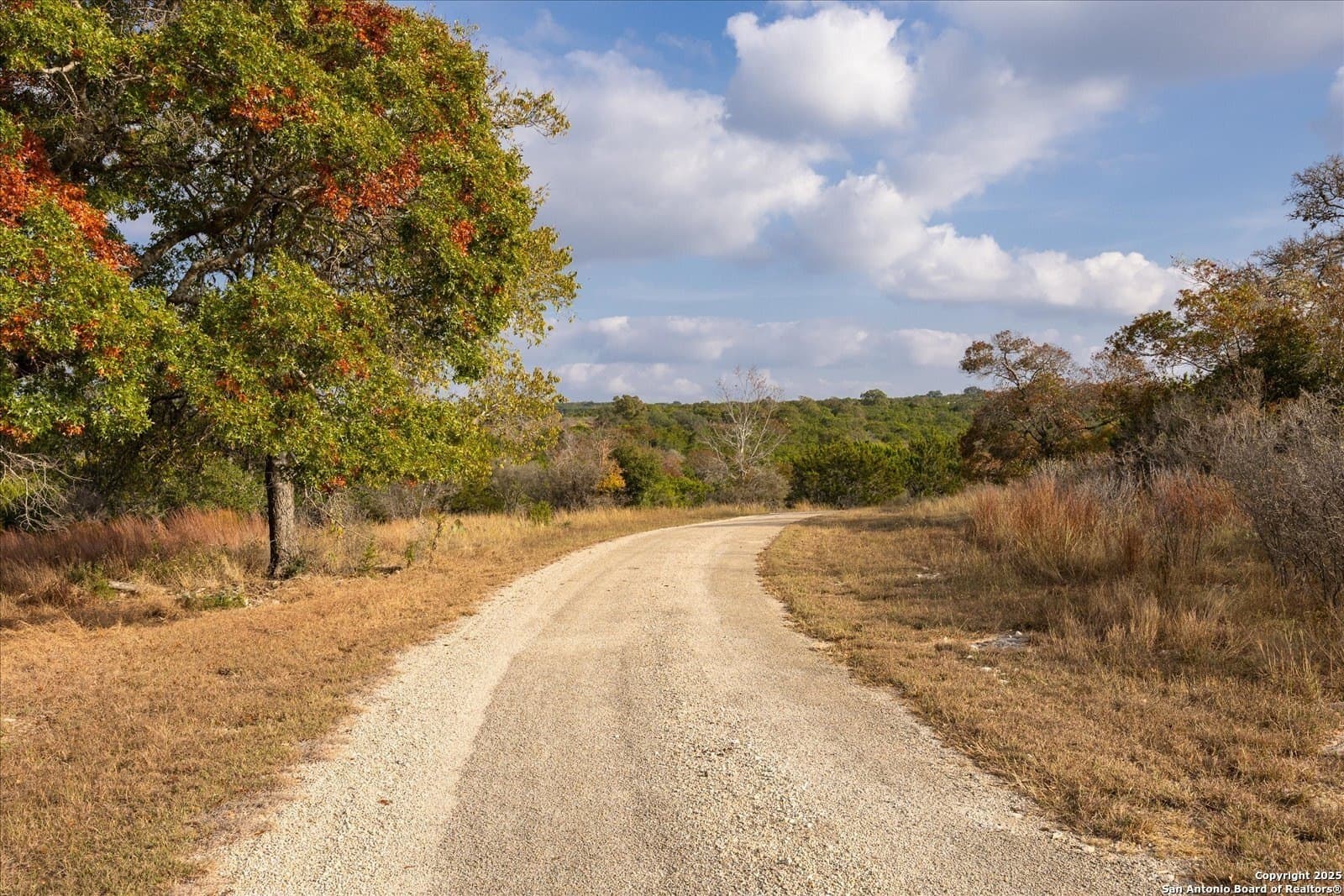 54 acres in Kendall County - photo 11