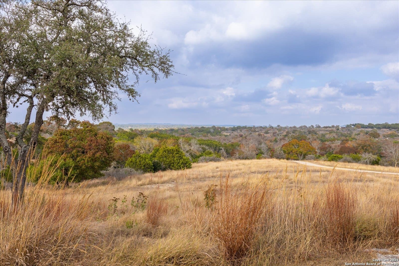 54 acres in Kendall County - photo 3