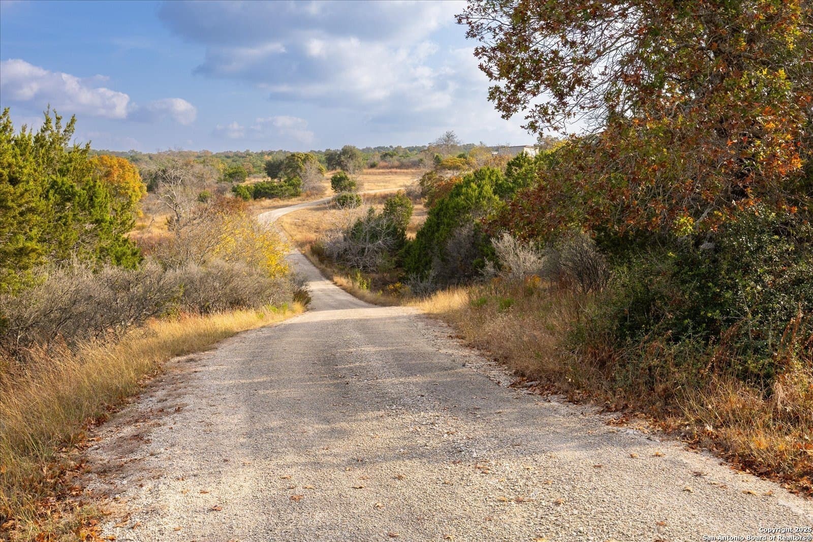 54 acres in Kendall County - photo 4
