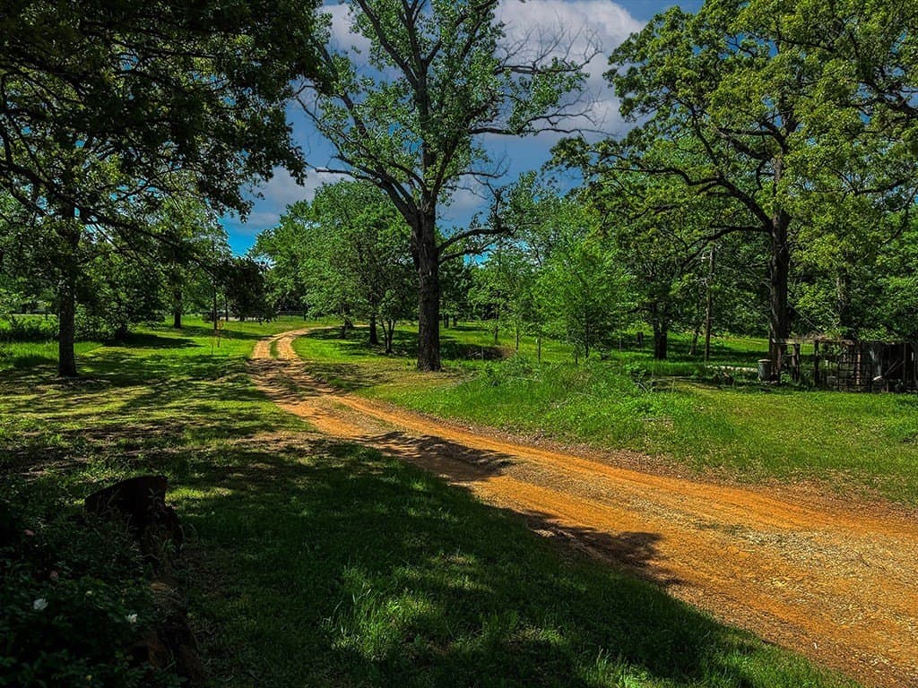 11.8 acres in Henderson County - photo 11
