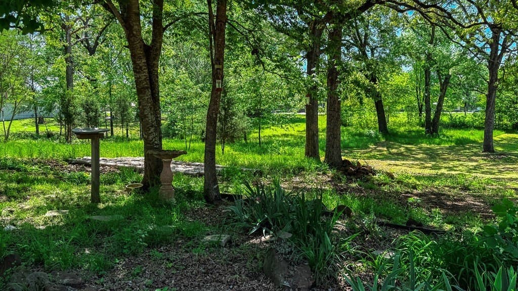 11.8 acres in Henderson County - photo 10