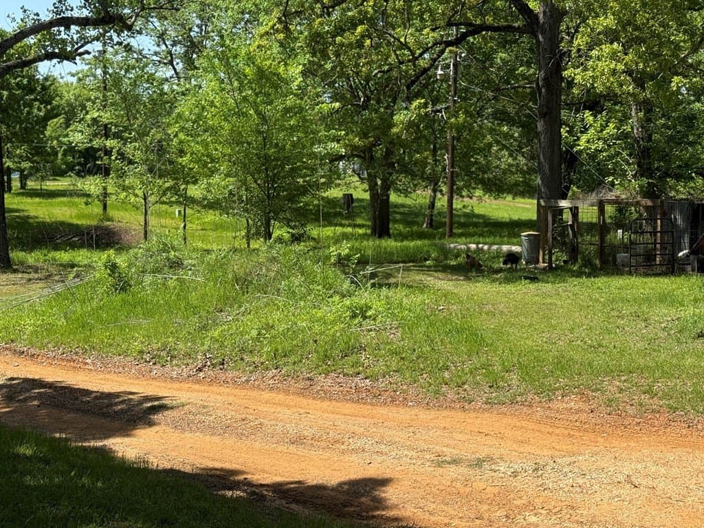 11.8 acres in Henderson County - photo 9