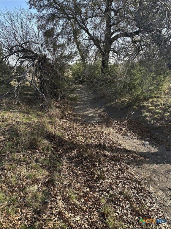 145 acres in Lampasas County - photo 27