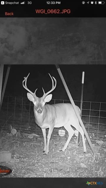 145 acres in Lampasas County - photo 7