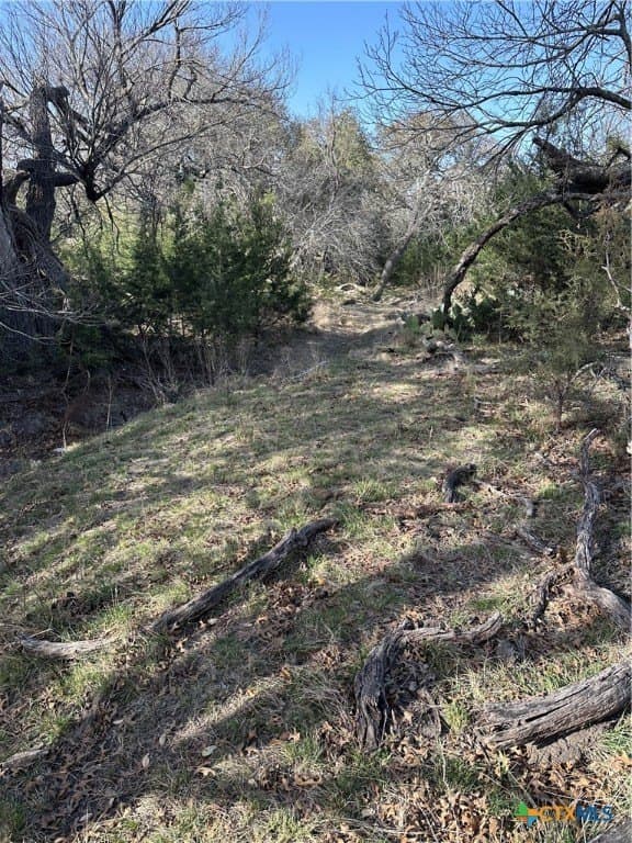 145 acres in Lampasas County - photo 28
