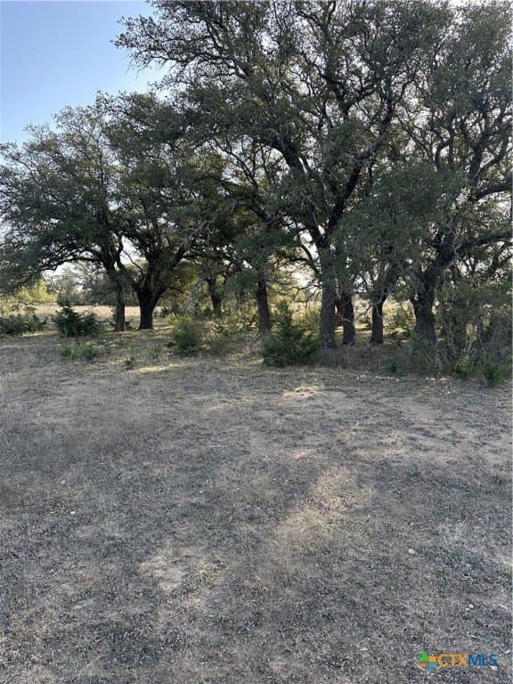 145 acres in Lampasas County - photo 21