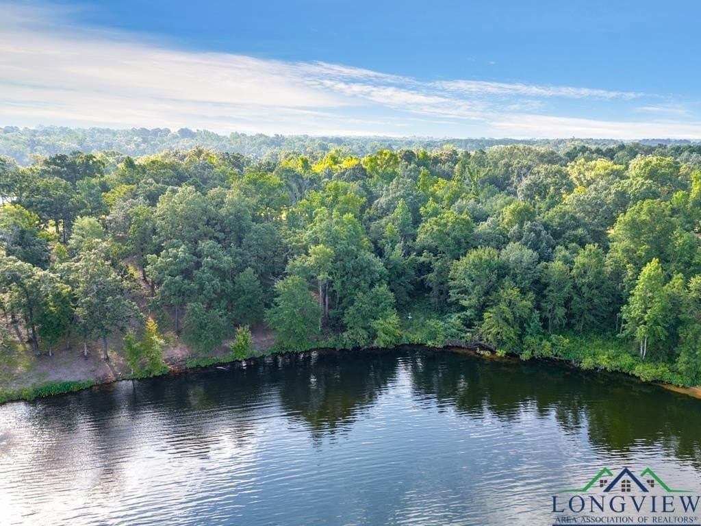 0.8 acres in Upshur County - photo 3