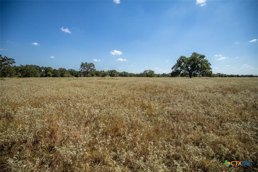 50 acres in Robertson County - photo 18