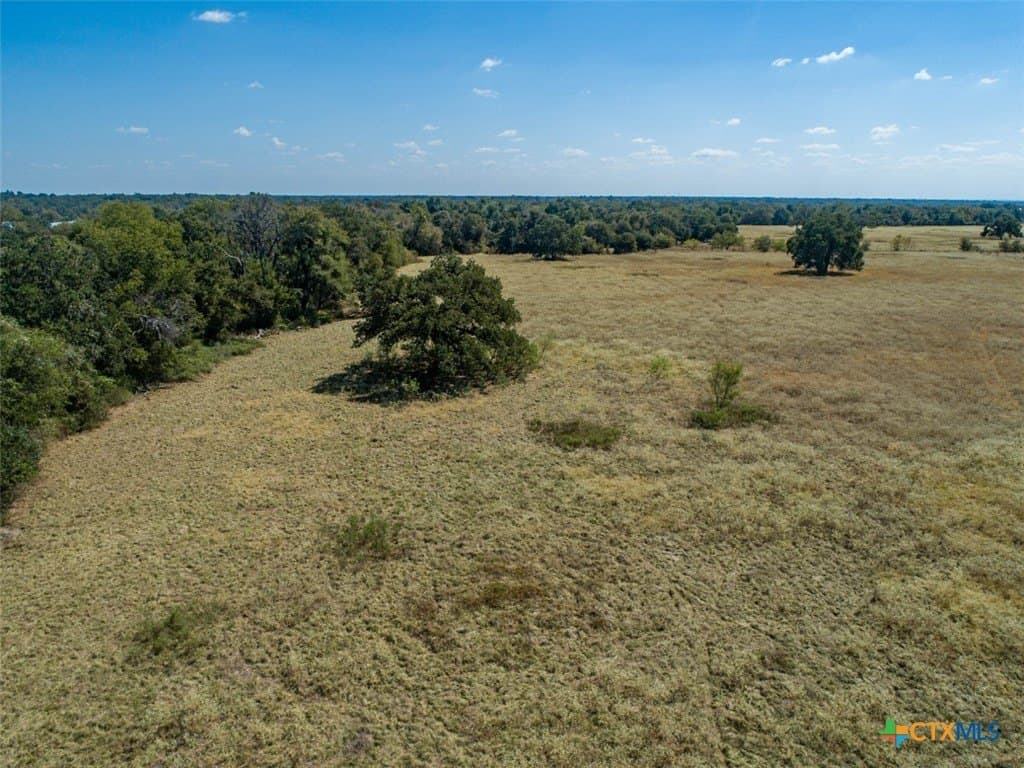 50 acres in Robertson County - photo 6