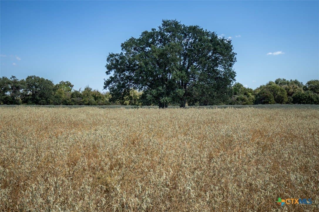 50 acres in Robertson County - photo 15