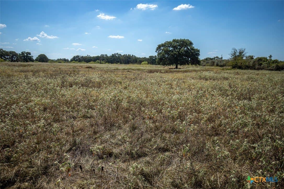 50 acres in Robertson County - photo 14