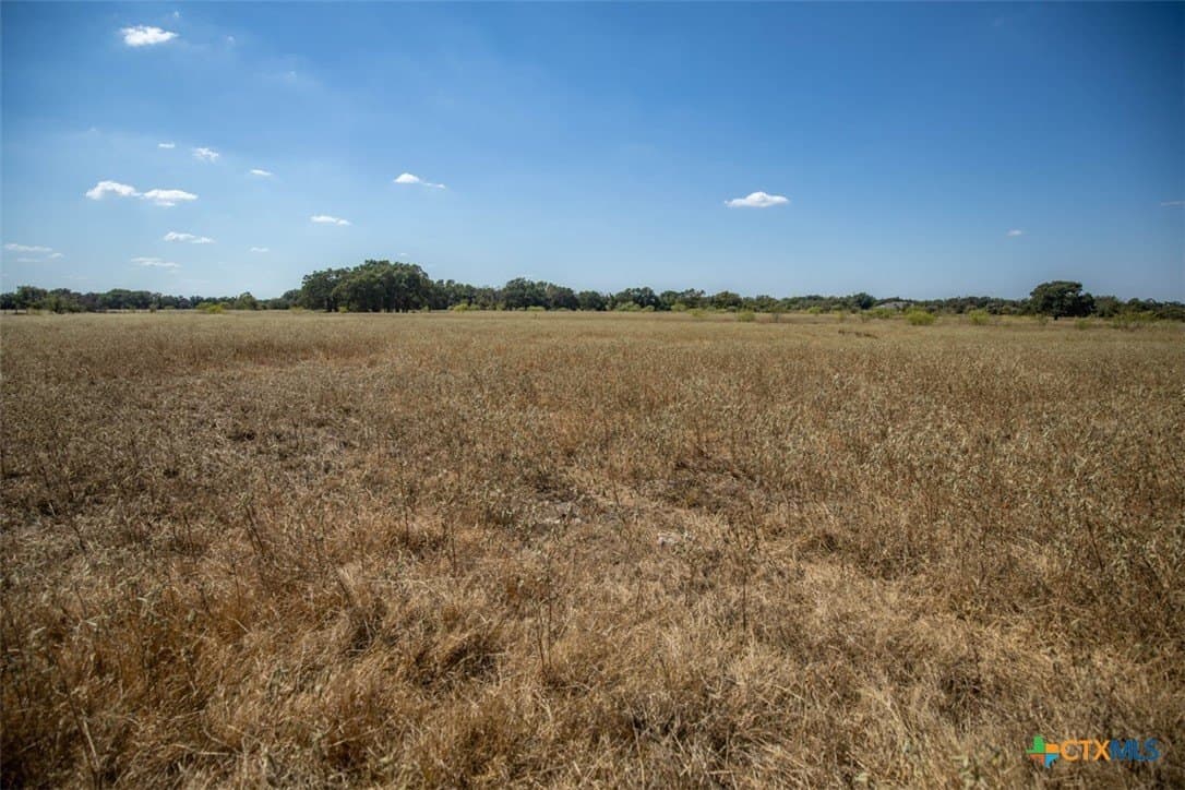 50 acres in Robertson County - photo 17