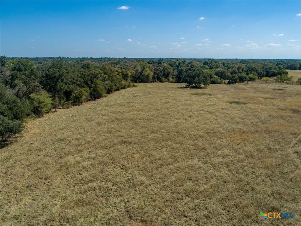 50 acres in Robertson County - photo 7