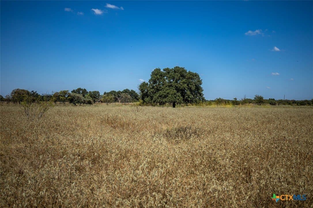 50 acres in Robertson County - photo 13