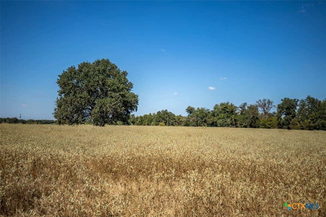 50 acres in Robertson County - photo 16