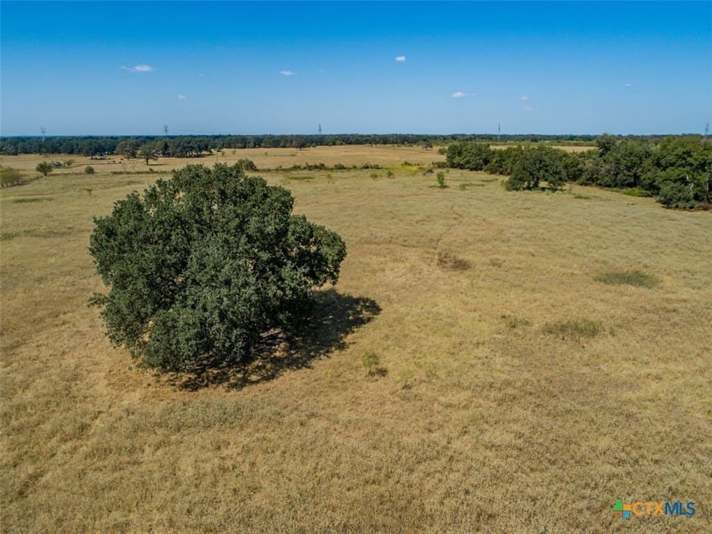 50 acres in Robertson County - photo 9