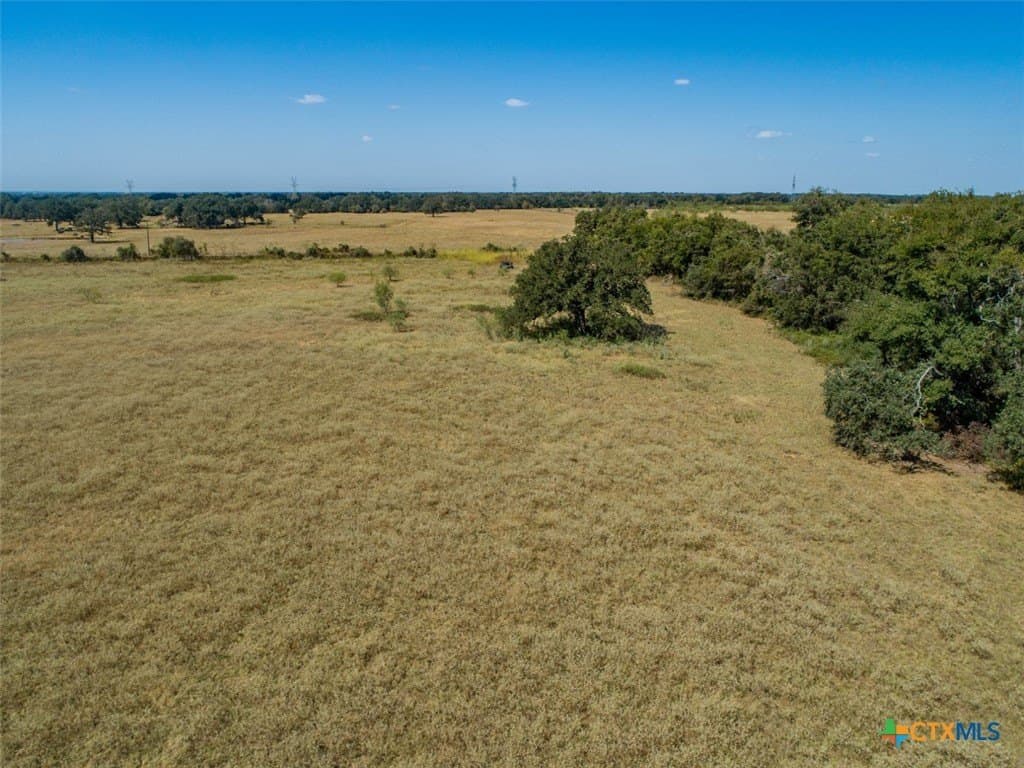 50 acres in Robertson County - photo 8