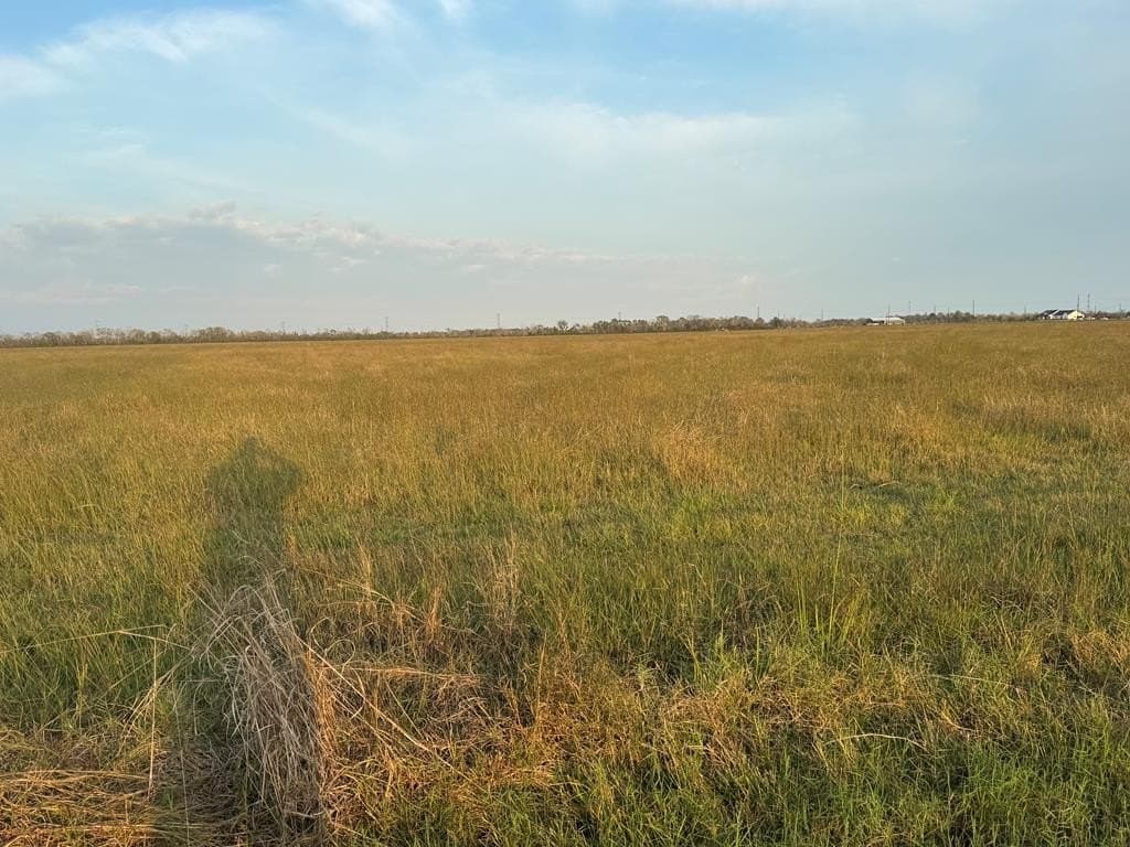 40 acres in Texas County - photo 3