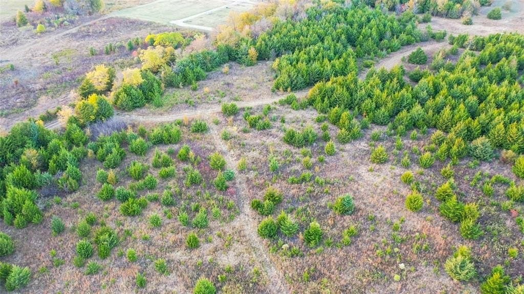 15 acres in Lamar County - photo 10