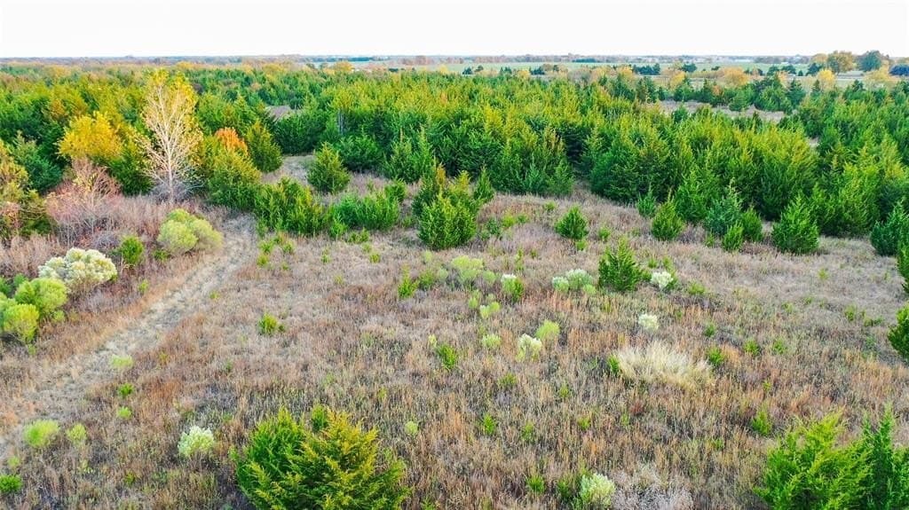 15 acres in Lamar County - photo 8