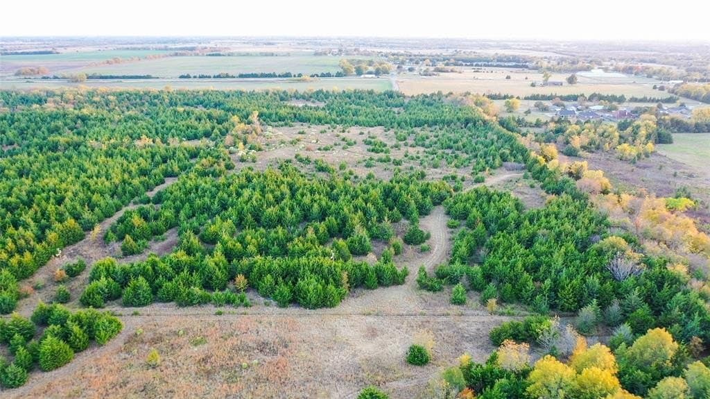 15 acres in Lamar County - photo 5