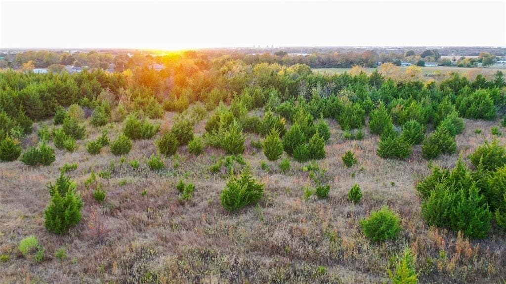 15 acres in Lamar County - photo 9